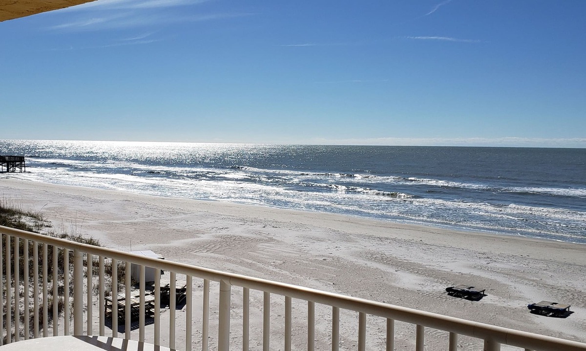 Indian Shores Condo | 180 degree direct Beachfront view - Can't get closer to the beach!