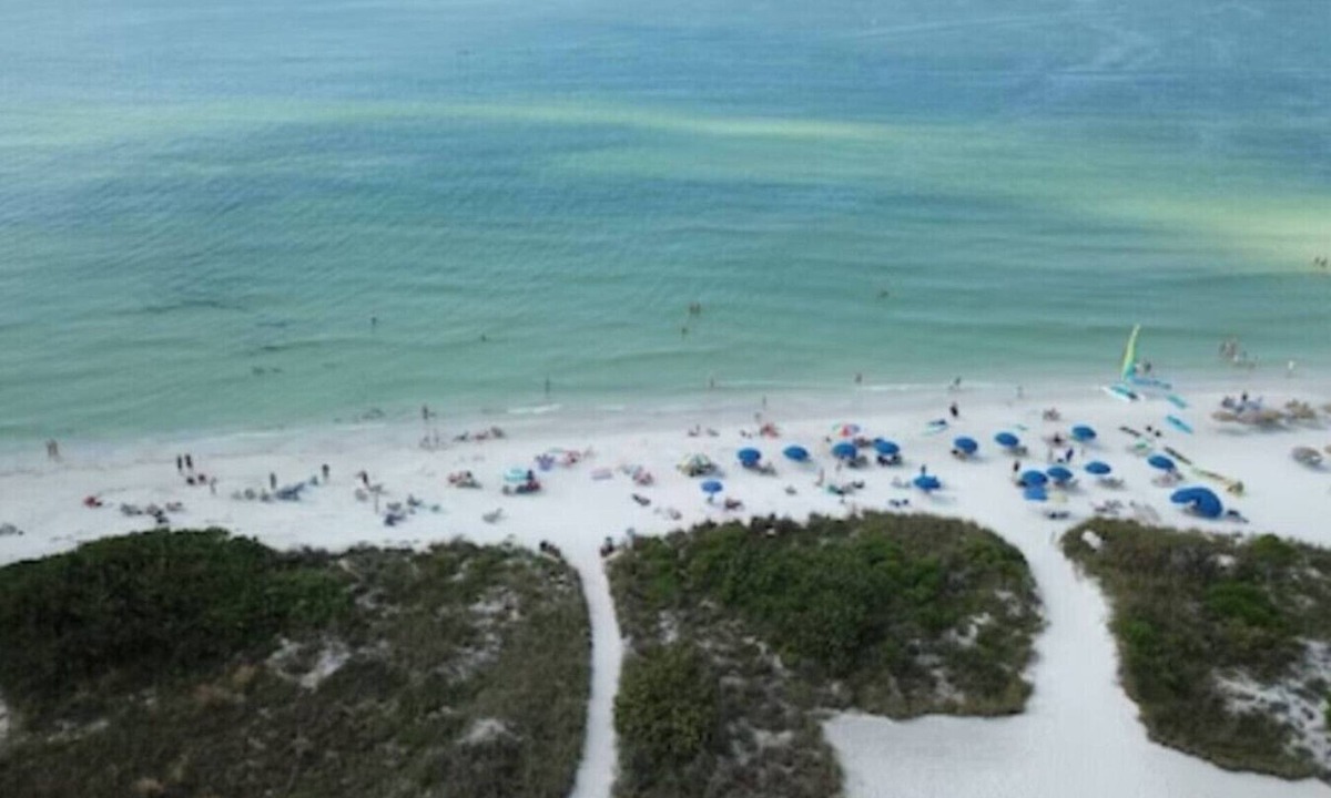 Siesta Key Hotel | #5-One Bedroom Suite-3min walk to Siesta Key Beach,Heated Pool,Full Kitchenette