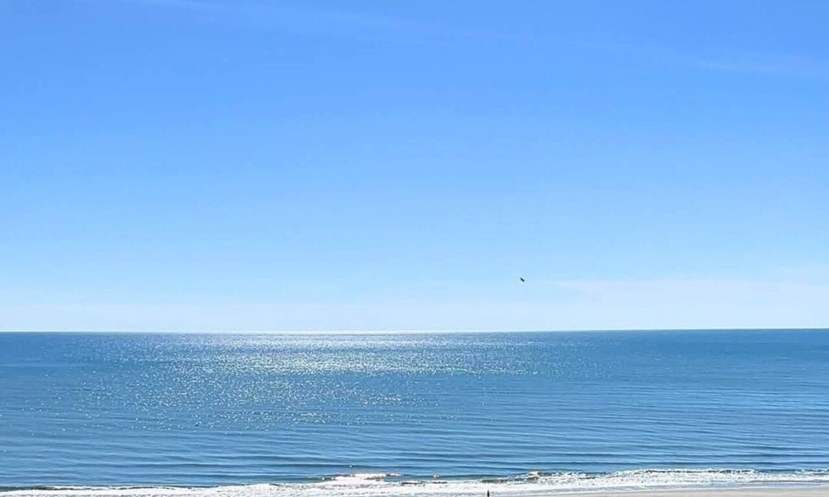 Myrtle Beach Condo | 8-8 to 8-13 Available Days - WOW Ocean Front Breathe Taking Views Ocean Creek