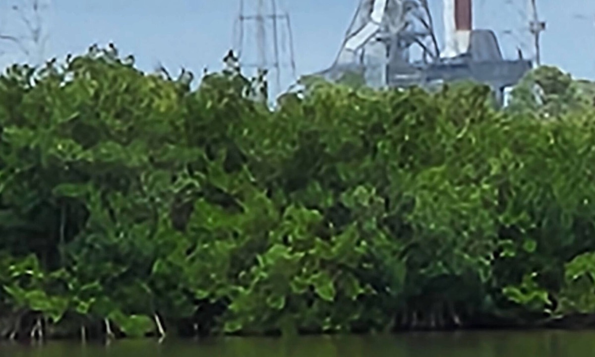 Island Crossings House | Best place for a short term home! Traveling business people welcome
