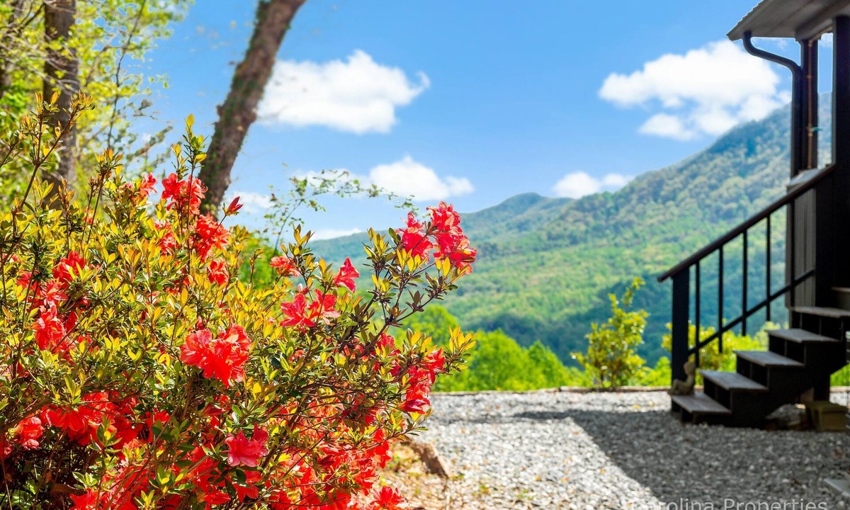 Piney Mountain House | Big View, Fire Pit, Cozy and Romantic - Writer's Block by Carolina Properties
