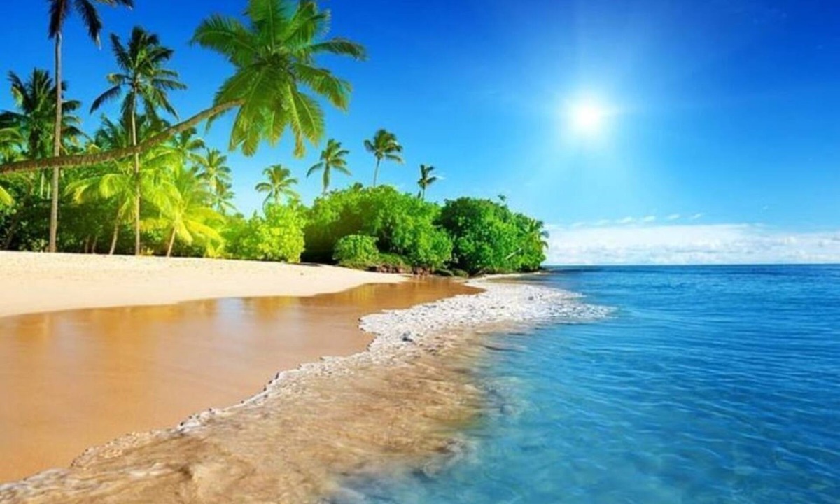 St. Petersburg House | CLEARWATER! Imagine a more beautiful vacation! 11