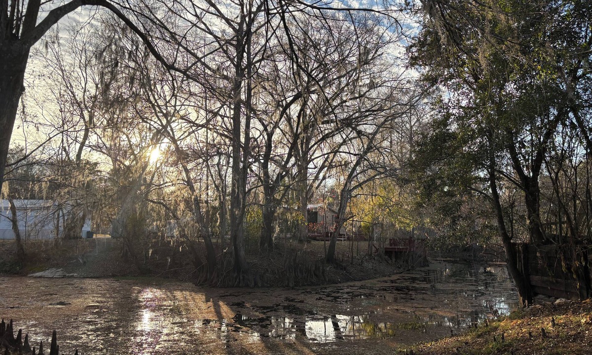 Bushnell Cottage | Cozy 2-bedroom cottage in beautiful Bushnell with AC