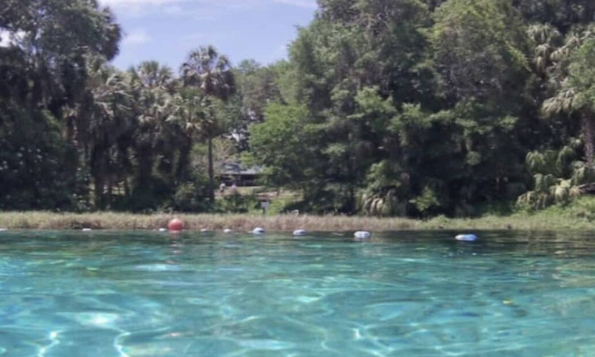 Citrus Springs Condo | Cozy River Condo with access to Rainbow River