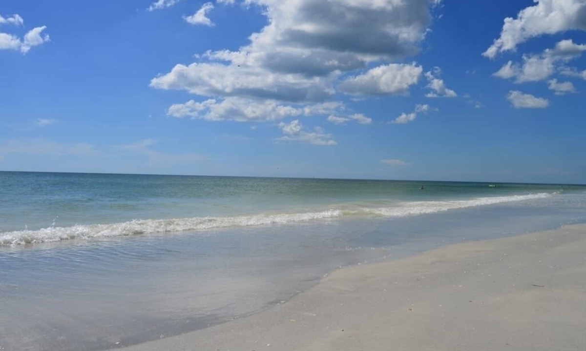 Indian Shores Condo | DIRECTLY ON THE BEACH -Perfect for a Family Vacation.