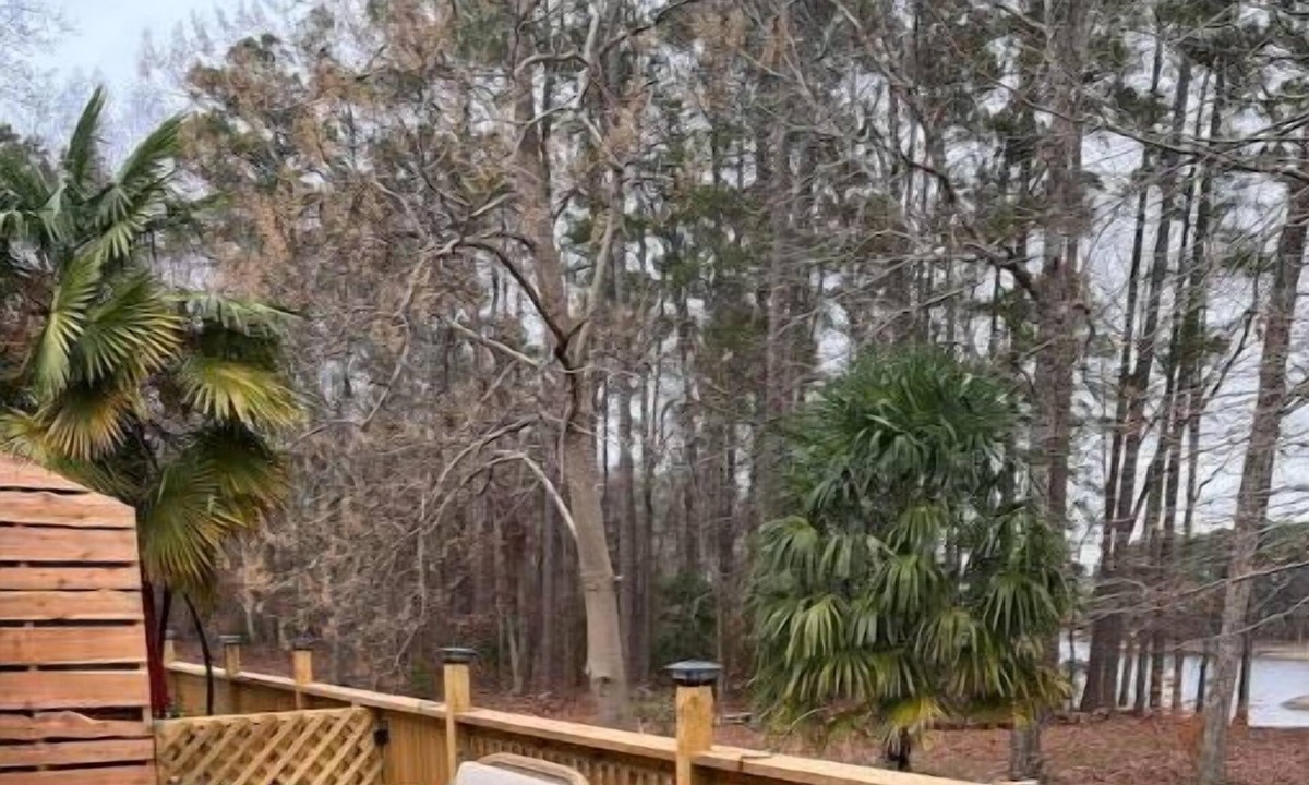 Leesville Apartment | King Bed - Lakeside Escape POD