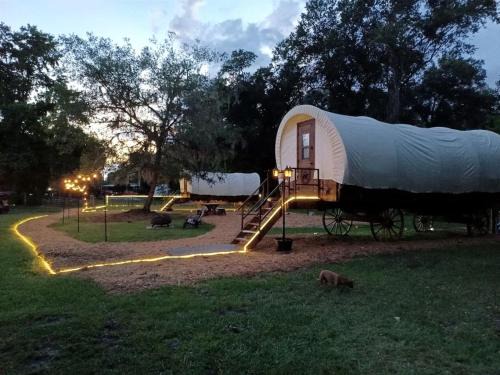 Putnam Hall House | Luxury Highland Cow Glamping in Cozy Covered Wagon with Peaceful Farm Retreat in Melrose, Florida