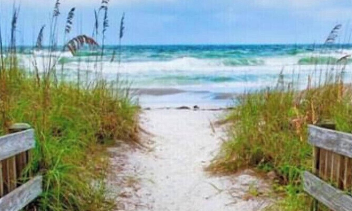 Alta Vista Cottage | Mi Casa Su Casa Hideaway. 15 min. to Siesta Key Beach. Min 2 Downtown sarasota