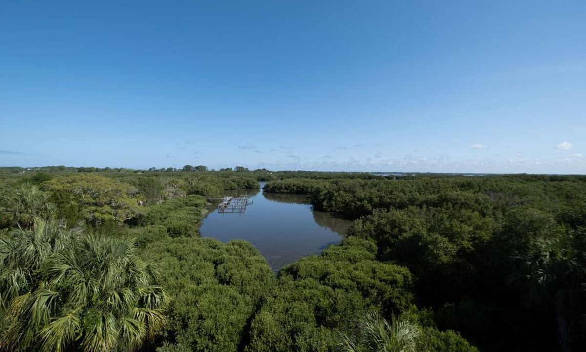 Cedar Key Condo | Nature's Landing C302 Pool and Amazing Water View!