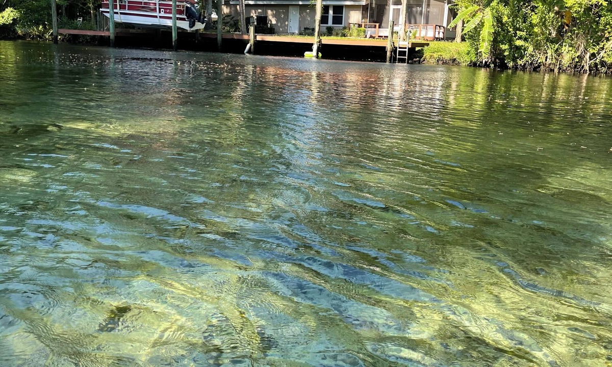 Homosassa House | Paradise get-a-way on the Homosassa River, near the head springs! New Listing!