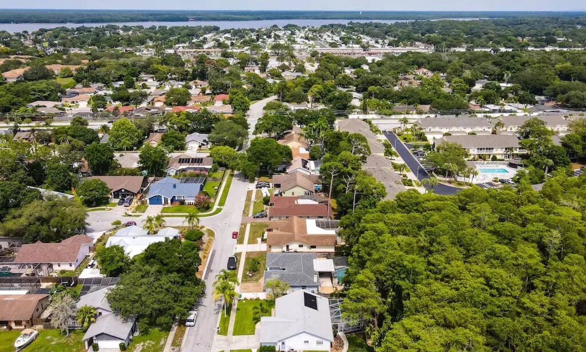Palm Harbor House | Paradise in Palm Harbor l Pool l Newly Renovated l Family Friendly