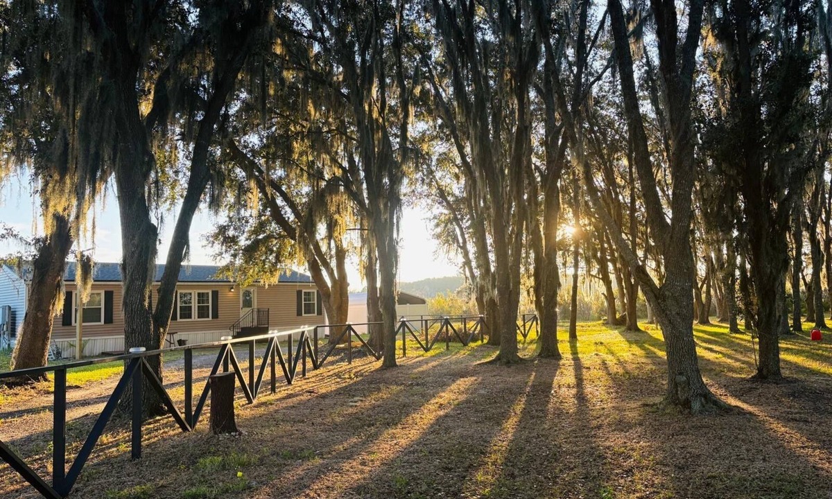 Clermont Bed & Breakfast | PrivateOakForest RanchFirepit, BBQ&FamilyRetreat