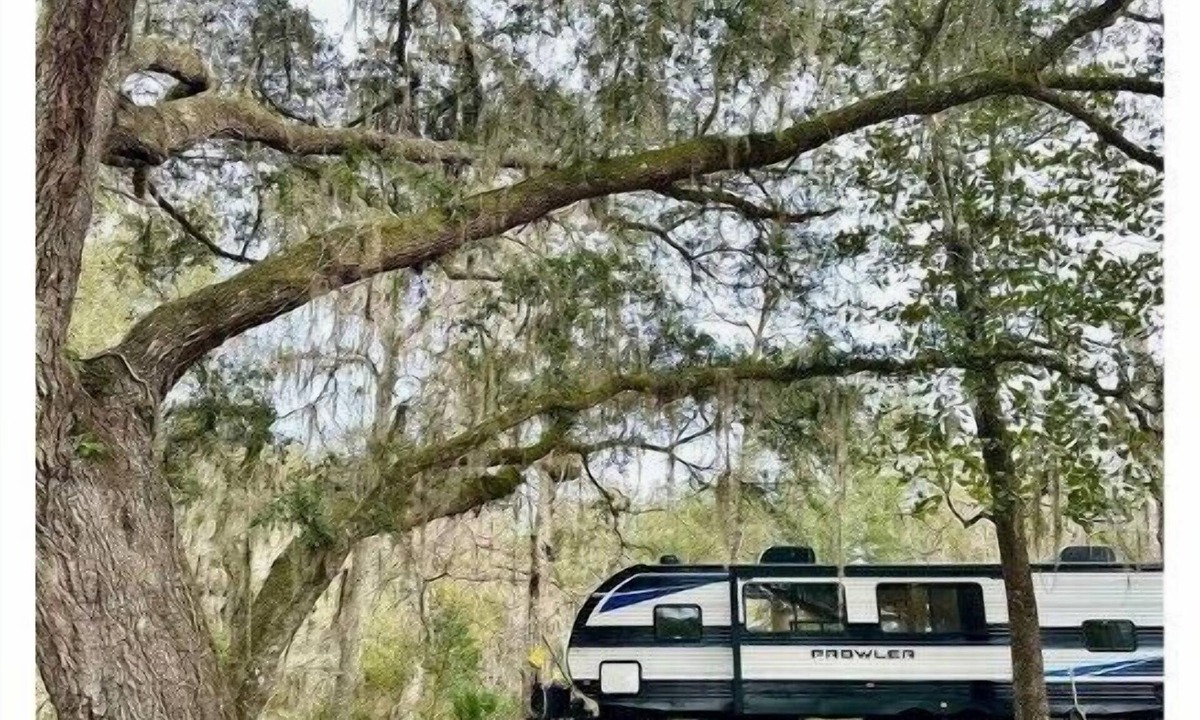Fort White House | RV on Santa Fe River Close to Ginnie Springs!
