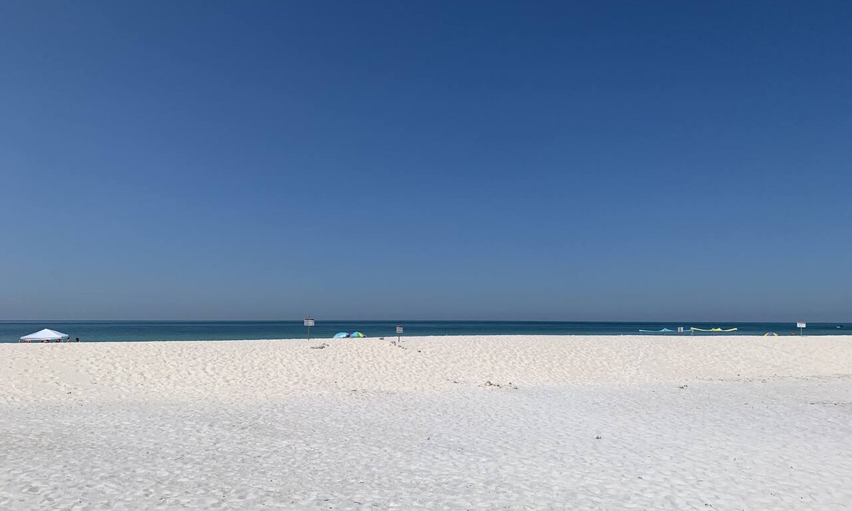Indian Shores Condo | Sand Castle III # 203 DIRECT GULF FRONT Condo Private Staircase to Pool & MORE