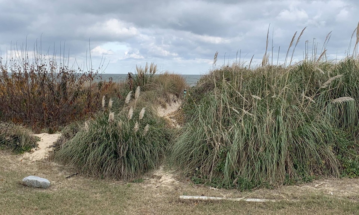 Norfolk Cottage | Sandy Dunes BeachFront Cottage - Beach Front