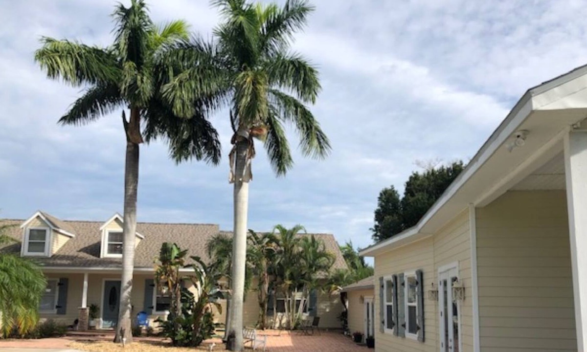 Westchase House | Spacious guest house on private lake!