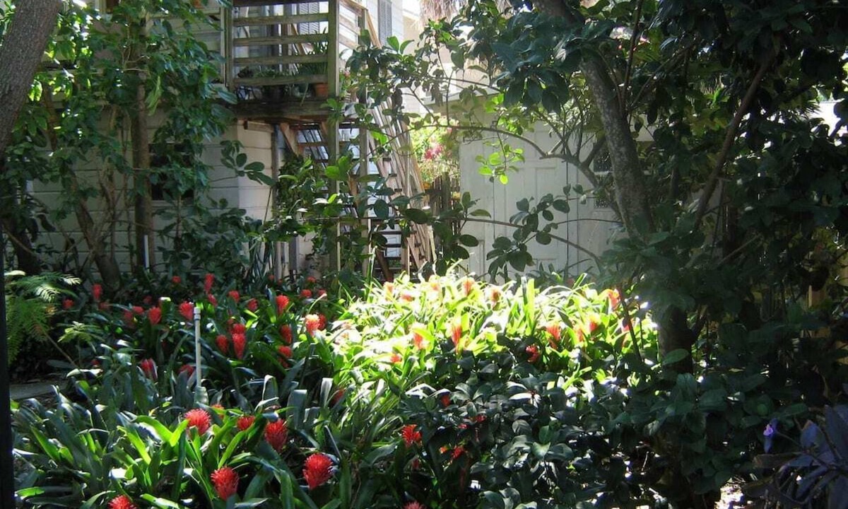 St. Petersburg Apartment | Treehouse 1BR Apt. Near Downtown, Monthly Only
