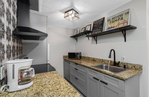Tampa House | ⤿15 bdrm Villa Nr. Airport, Riverwalk, Stadiums & Beaches w/fire pit Sleeps 33⤾