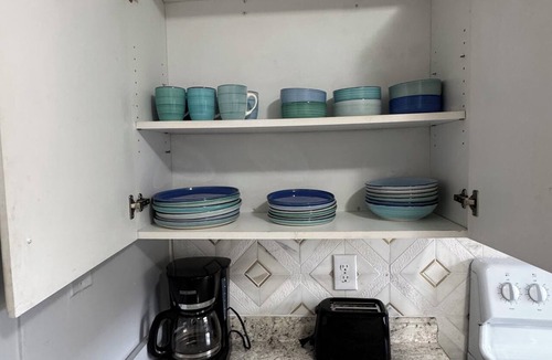 North Tampa Apartment | 2-bedroom apartment near Busch Gardens and USF! WiFi & Central AC