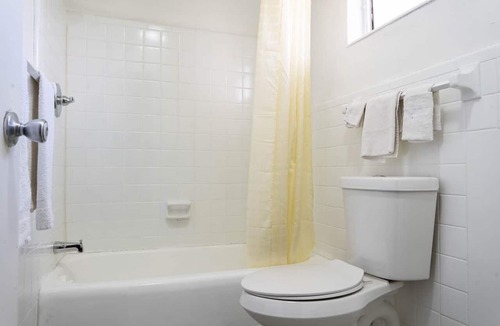Ocala Apartment | 2 Full Bed|Smoking|Ocala FL