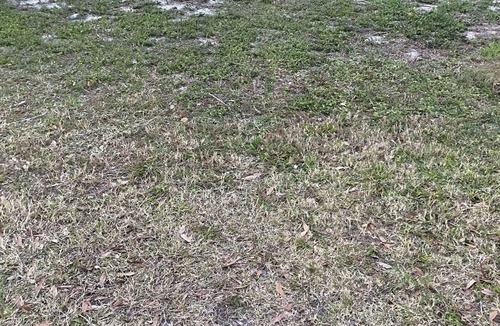 South Bradenton Apartment | A Home Away From Home