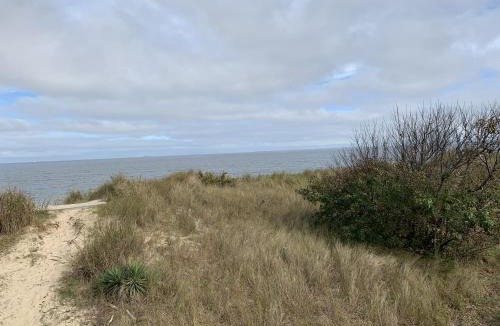 Cottage Line House | Beach Front on the Bay on the Dunes bungalow