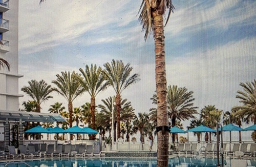 Clearwater Beach Resort | Beautiful Clearwater Beach Available Mar 26-Mar29