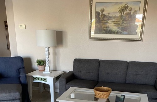 Tierra Verde Condo | Beautiful Dog Friendly Tierra Verde Waterfront Condo