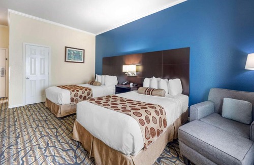 Spring Hill Hotel | Best Western Spring Hill Inn & Suites