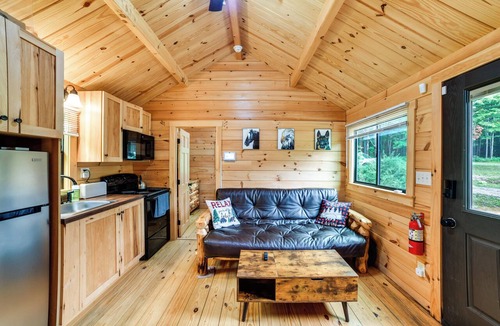 Sidney Center Cabin | Catskills Tiny Home Cabin: Surrounded by Nature!