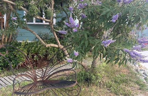 Villas Cottage | Charming 3-bedroom cottage with WiFi, AC in peaceful Lower Township