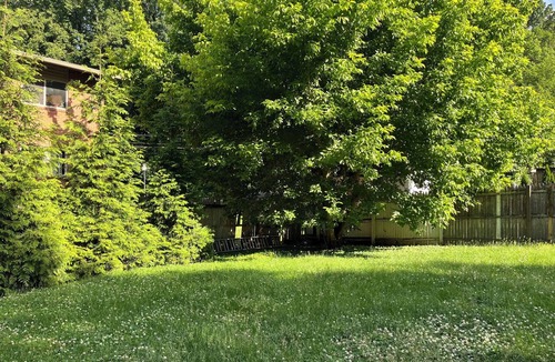 Silver Spring House | Charming 3-bedroom house in lovely Silver Spring with AC