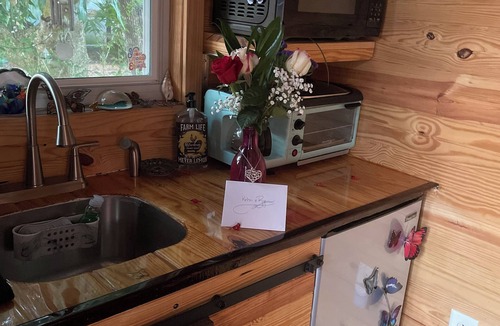 Sarasota Springs Cottage | Charming tiny house with AC and WiFi in delightful Sarasota.Private and quiet.