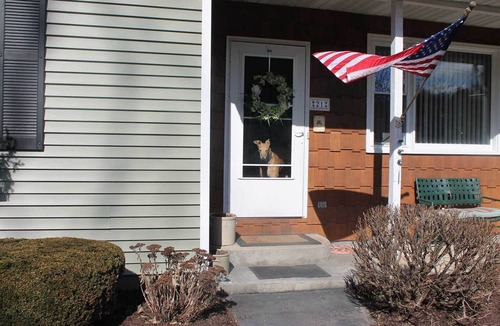 Clinton Apartment | Clinton's Pet Friendly B&B