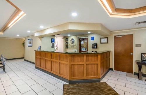 Gainesville Hotel | Comfort Inn Gainesville - University Area