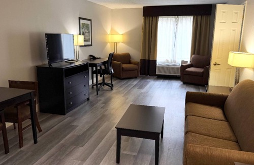 New Tampa Hotel | Comfort Inn & Suites Tampa North I-75
