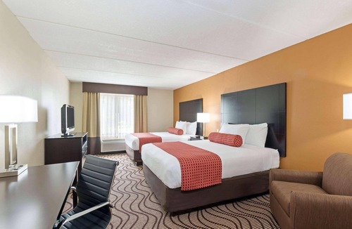 New Tampa Hotel | Comfort Inn & Suites Tampa North I-75