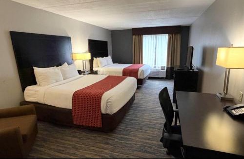 New Tampa Hotel | Comfort Inn & Suites Tampa North I-75