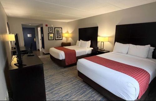 New Tampa Hotel | Comfort Inn & Suites Tampa North I-75