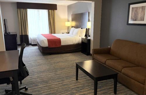 New Tampa Hotel | Comfort Inn & Suites Tampa North I-75