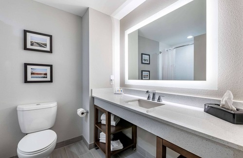 Gainesville Hotel | Comfort Suites Gainesville near University