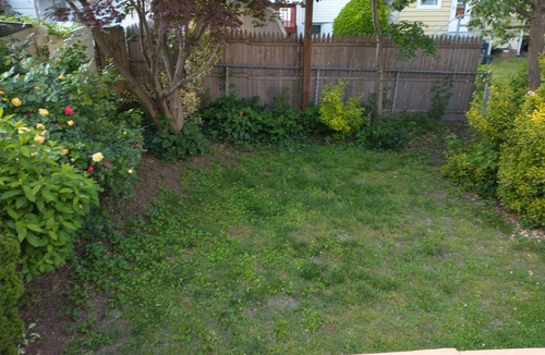 Clifton House | Comfortable 3 Bedroom 2 Bath House Near New York New Summer Dates Available