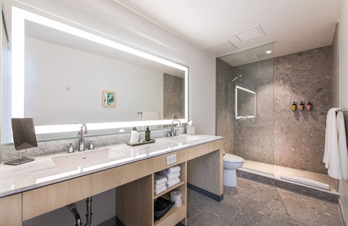 Gainesville Hotel | Comfortable King ADA Room near UF Campus