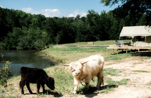 Fountain Inn RV Rental | Comfy Tented Cabin Spectacular for a Couples Retreat in South Carolina
