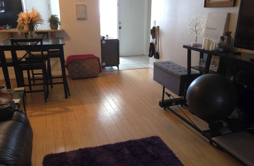 Palm Harbor Condo | Cozy 1 bedroom condo in Palm Harbor