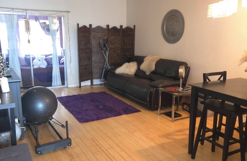 Palm Harbor Condo | Cozy 1 bedroom condo in Palm Harbor