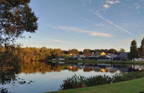 Bearss Plaza House | Cozy and Conveniently located Pool Home with Free WiFi