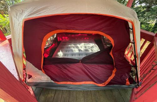 Ocracoke Hostel | DiscoCat Studios