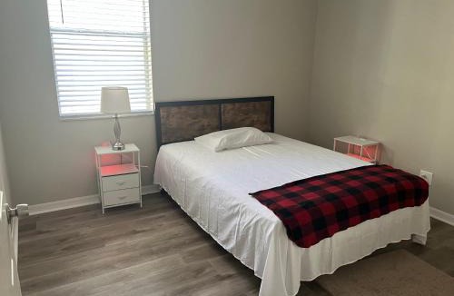 Temple Terrace House | Dolphin Room