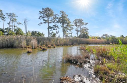 Chincoteague House | Egret's Walk - Charming Cottage on North Main!